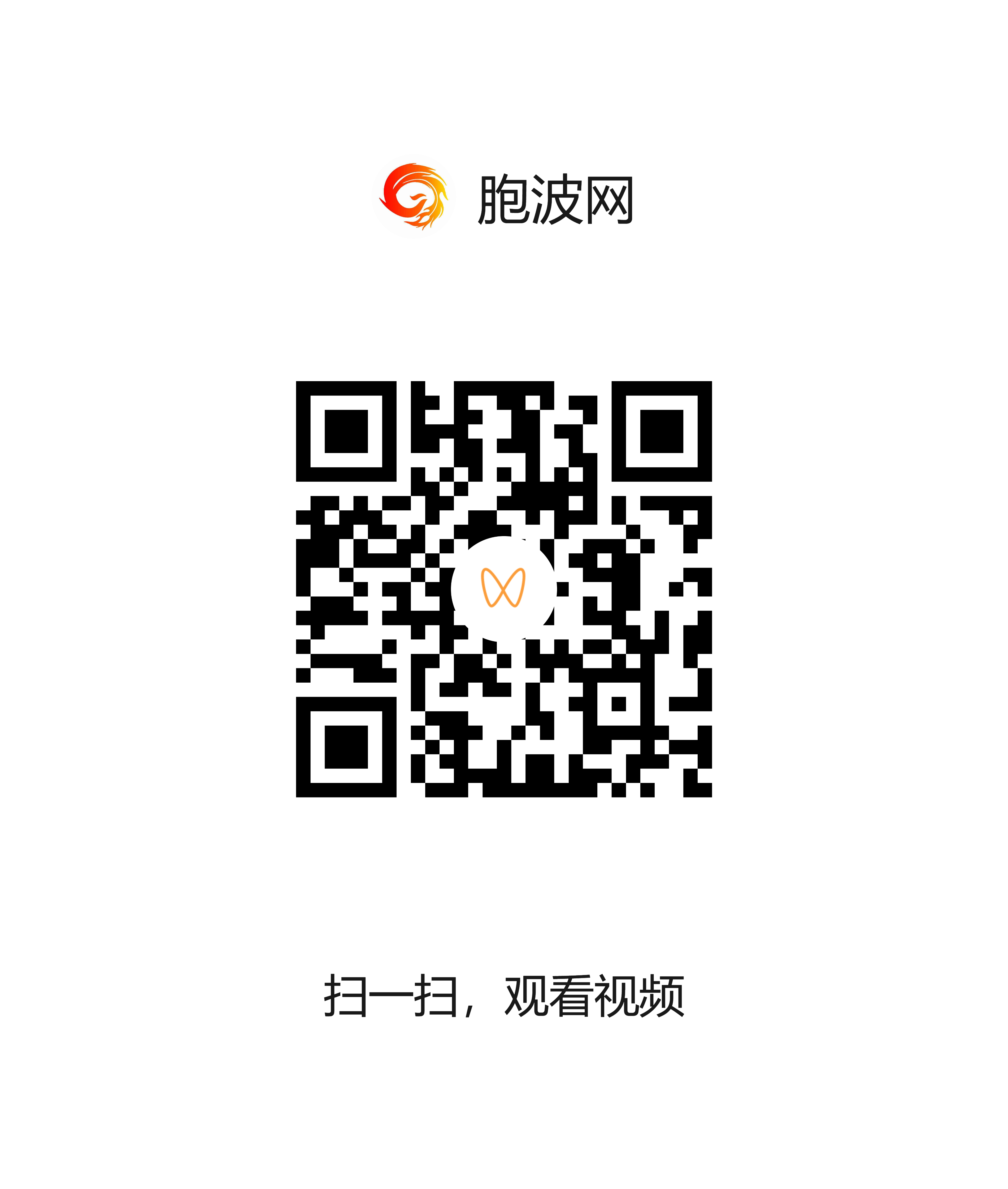 024年：祝缅甸和平