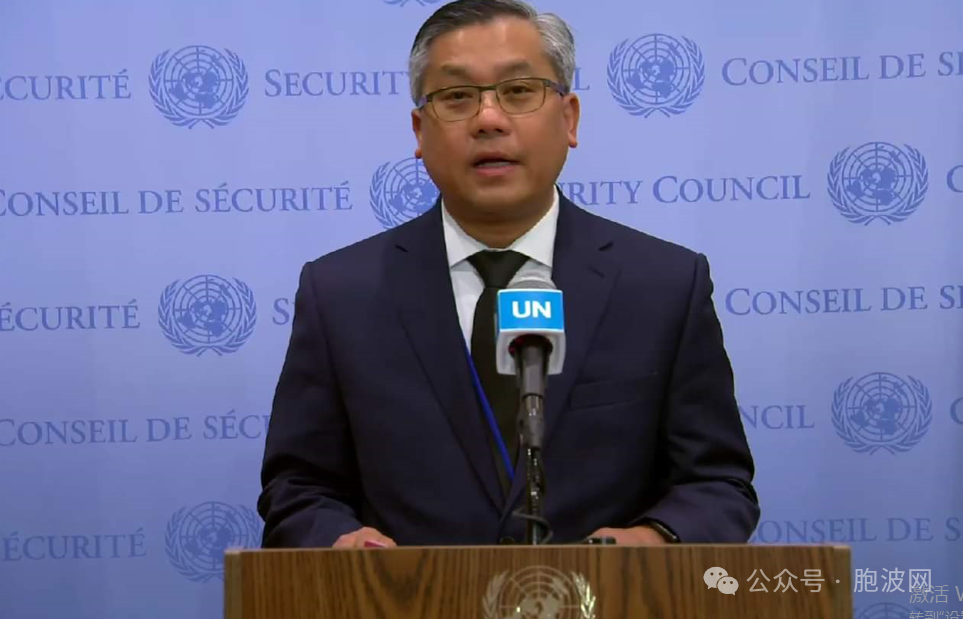 联合国安理会九国发表声明谴责“缅军恐怖行为”