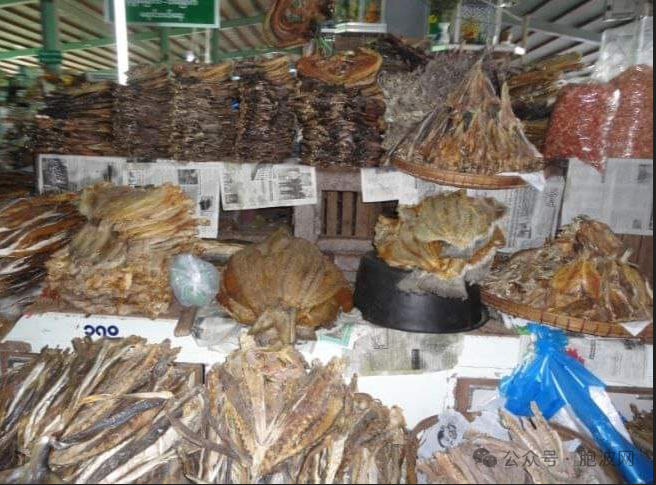 伊洛瓦底省漂泵镇区的干鱼进入仰光市场，一个月达85000缅斤
