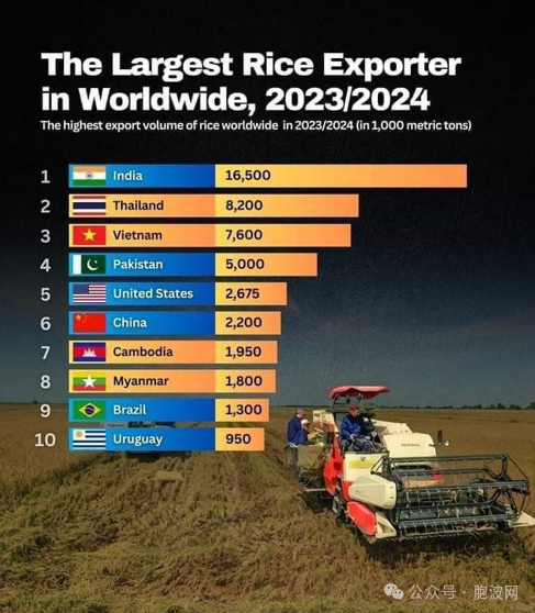世界大米出口国中缅甸位居第八