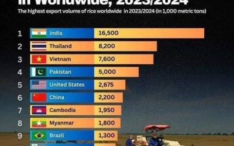 世界大米出口国中缅甸位居第八