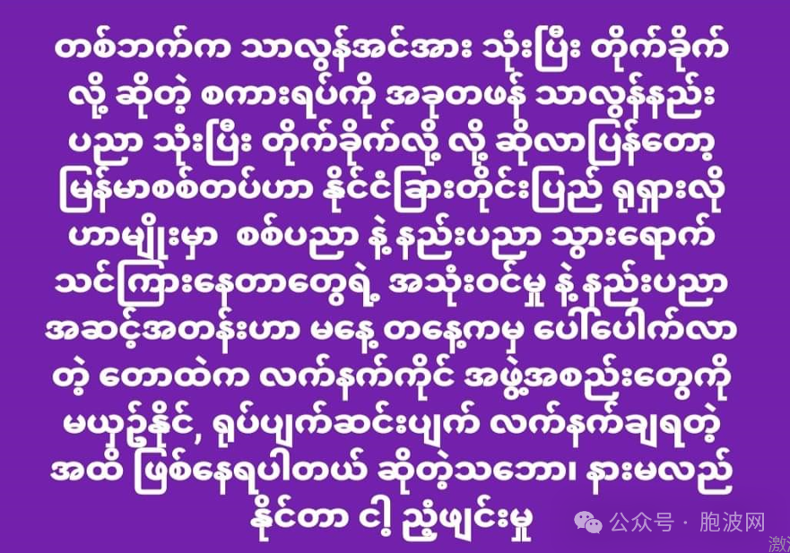 缅甸拥军人士愤世语录选集