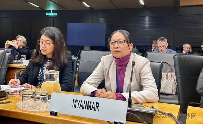 缅甸代表参加国际核能相关会议