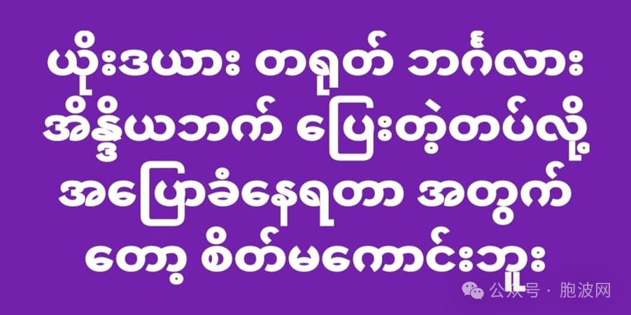 缅甸拥军人士愤世语录选集