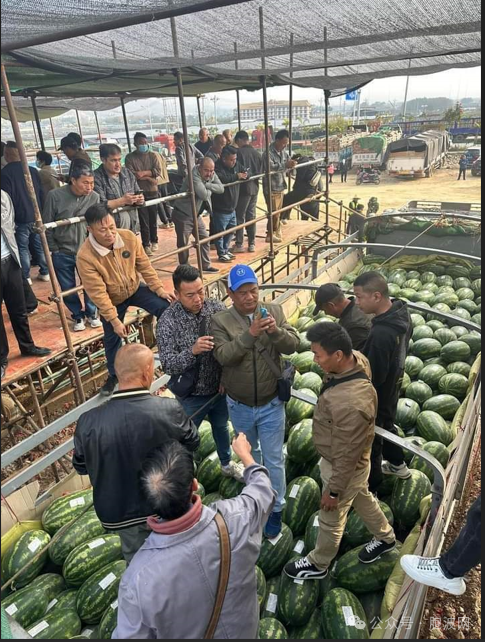 缅甸出口邻国的西瓜市场被老挝抢占！