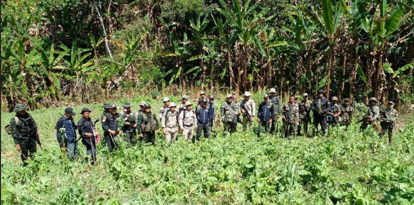 泰缅边境泰国境内发现鸦片种植地