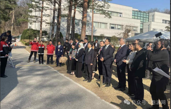 谁信？韩缅携手在森林发展方面进行合作