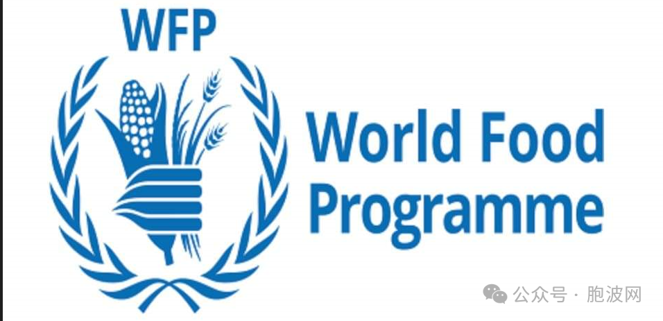 联合国世界粮食计划署WFP与缅甸外长谈合作