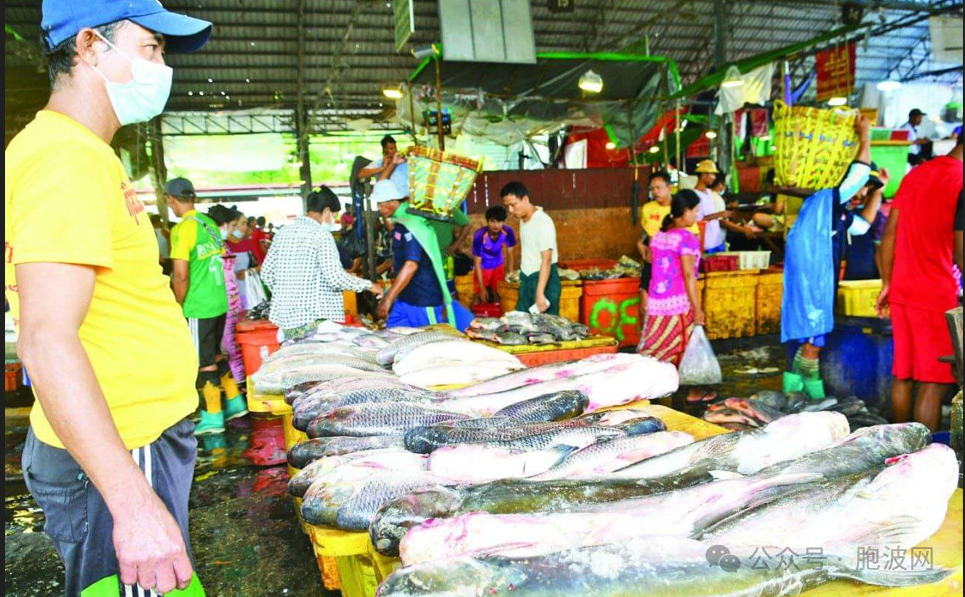 仰光瑞布道大型鱼市场每天有40万吨水产品进入