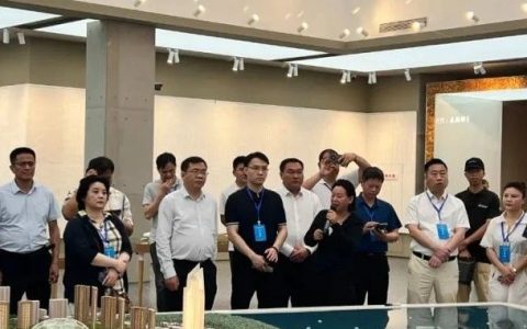 中国侨联“助力共建中国——东盟命运共同体”海外侨领国情研修班在北海开展现场教学和考察调研活动