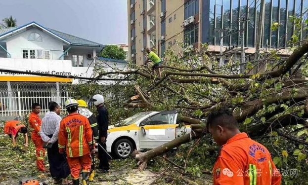 神也无法满足人的愿望：仰光下雨了却不得好评？