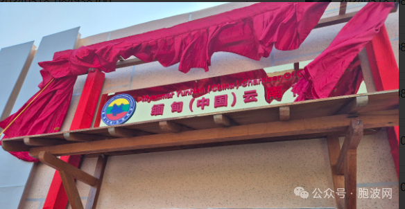 缅甸中国云南商会曼德勒办事处今揭牌