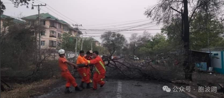 实皆省会蒙育瓦市刮狂风导致很多大树和电线桩被吹倒