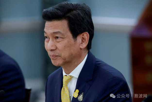 突发事件：负责缅甸事务的泰国副总理兼外长辞职！