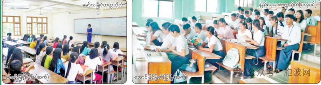 照片新闻：2024-2025学年缅甸中小学校以及大学院校开学啦！