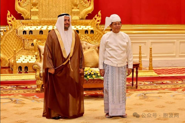 阿联酋与斯里兰卡驻缅大使向国管委主席递交国书