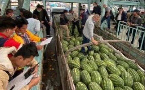 战争的苦痛：缅甸水果只得靠国内市场
