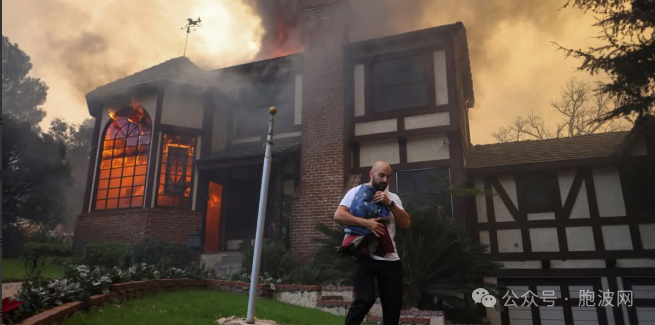 天灾还是人祸？民主大国山火身亡人数上升