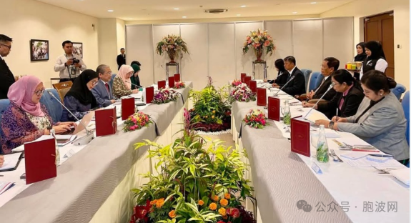 缅甸外长访问文莱拜会国王