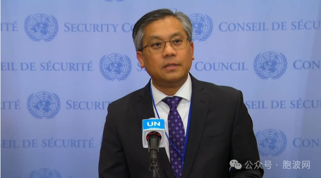 NUG“驻联合国大使”对联合国表示沮丧