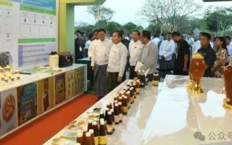 二把手：缅甸正加紧建设千兆瓦的天然气太阳能混合发电站
