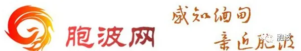 再“下”一城：又一缅甸驻俄罗斯总领事馆开馆并与曼德勒结为“姐妹城市”